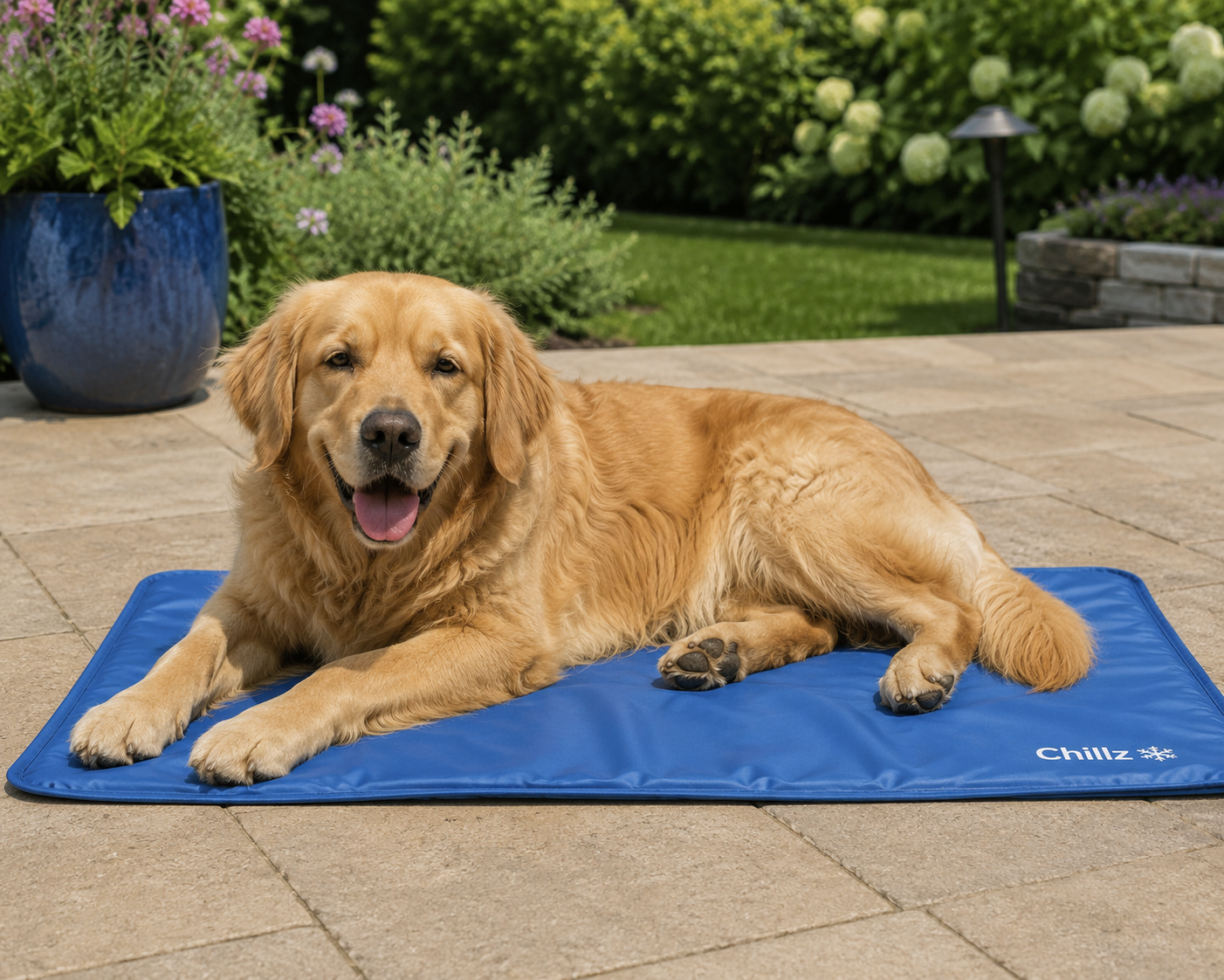 Dog on cooling pad