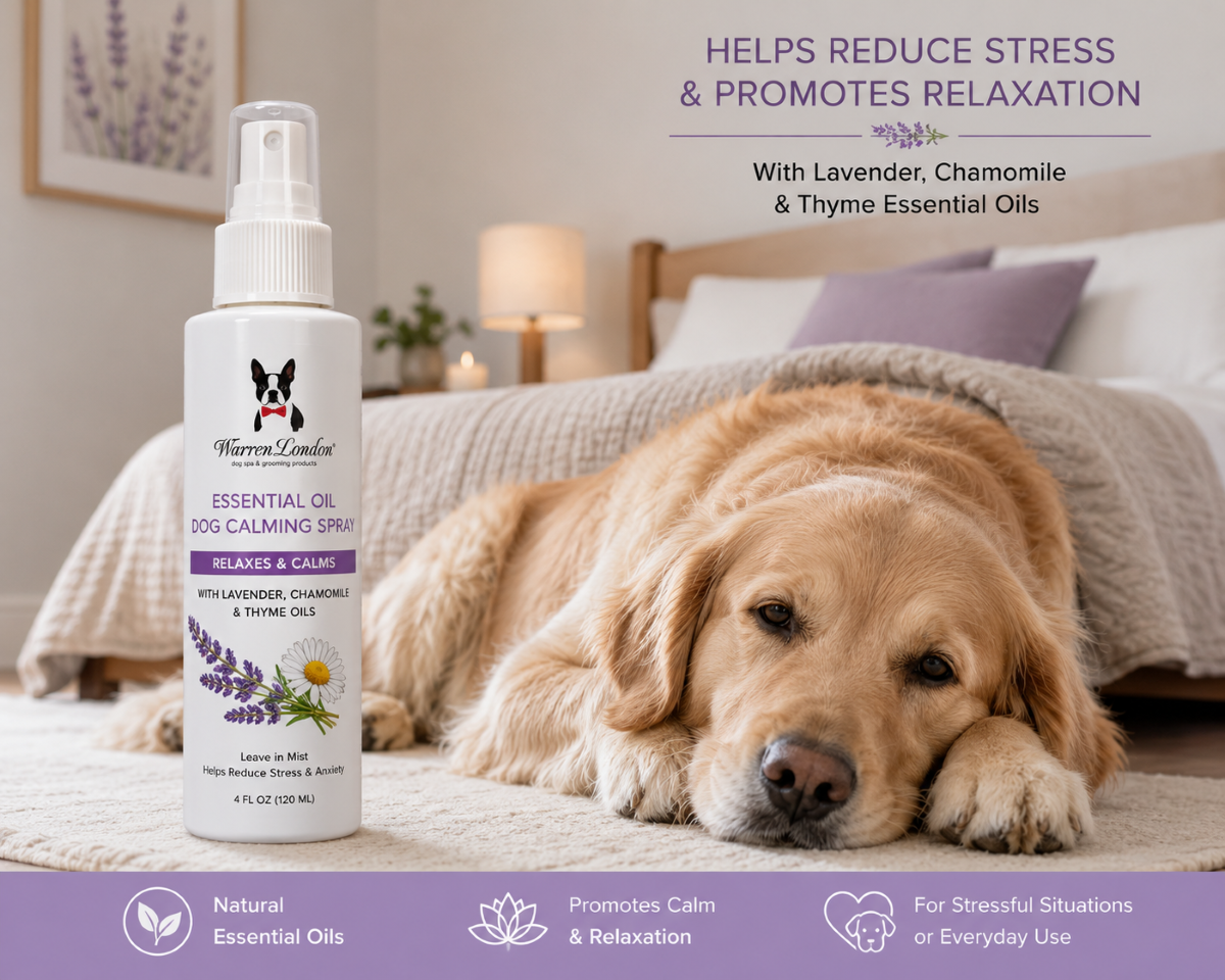 Warren London Calming Spray